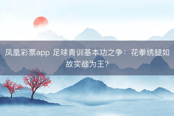 凤凰彩票app 足球青训基本功之争：花拳绣腿如故实战为王？