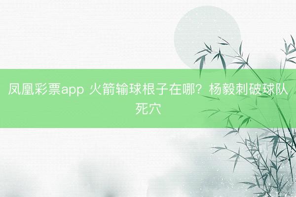 凤凰彩票app 火箭输球根子在哪？杨毅刺破球队死穴