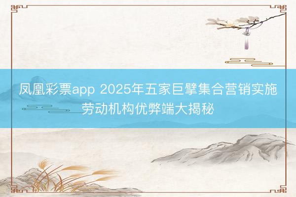 凤凰彩票app 2025年五家巨擘集合营销实施劳动机构优弊端大揭秘