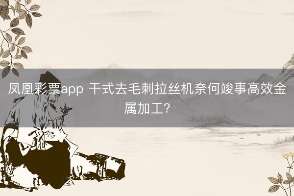 凤凰彩票app 干式去毛刺拉丝机奈何竣事高效金属加工？
