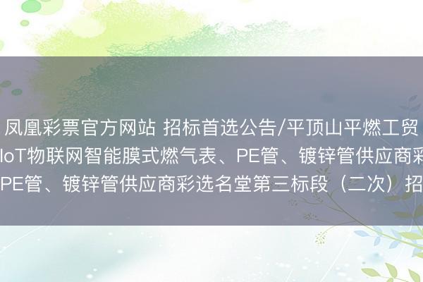 凤凰彩票官方网站 招标首选公告/平顶山平燃工贸有限公司2026年NB-IoT物联网智能膜式燃气表、PE管、镀锌管供应商彩选名堂第三标段（二次）招标公告
