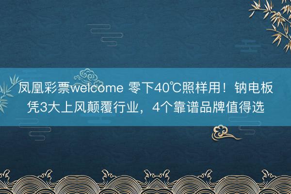 凤凰彩票welcome 零下40℃照样用！钠电板凭3大上风颠覆行业，4个靠谱品牌值得选