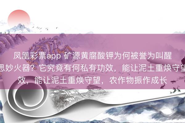 凤凰彩票app 矿源黄腐酸钾为何被誉为叫醒泥土生命力的好意思妙火器?它究竟有何私有功效,能让泥土重焕守望,农作物振作成长