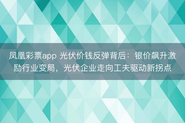 凤凰彩票app 光伏价钱反弹背后：银价飙升激励行业变局，光伏企业走向工夫驱动新拐点