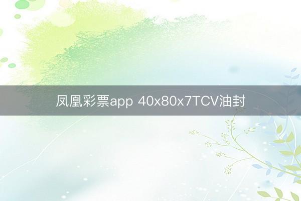 凤凰彩票app 40x80x7TCV油封