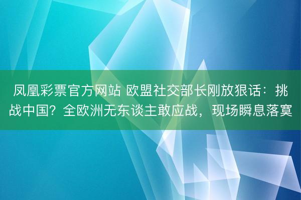 凤凰彩票官方网站 欧盟社交部长刚放狠话：挑战中国？全欧洲无东谈主敢应战，现场瞬息落寞