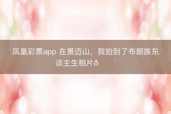 凤凰彩票app 在景迈山,我拍到了布朗族东谈主生相片🔴