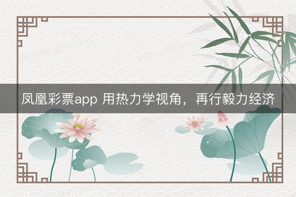 凤凰彩票app 用热力学视角，再行毅力经济