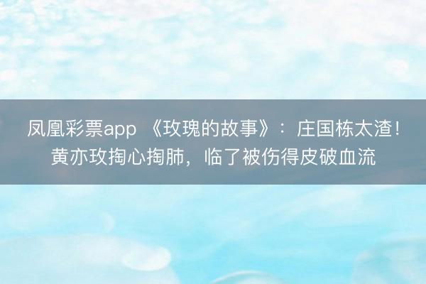凤凰彩票app 《玫瑰的故事》:庄国栋太渣!黄亦玫掏心掏肺,临了被伤得皮破血流