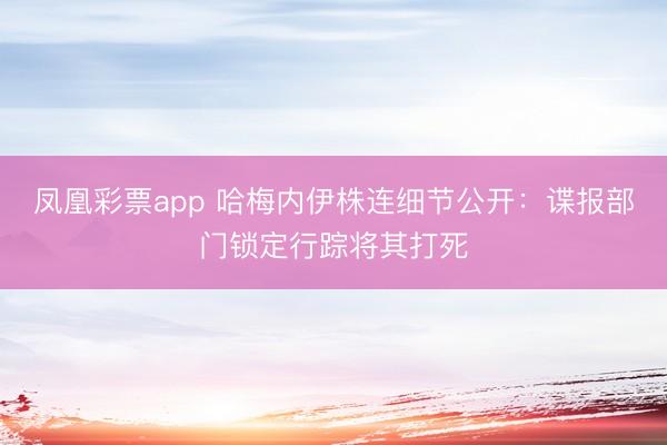 凤凰彩票app 哈梅内伊株连细节公开：谍报部门锁定行踪将其打死