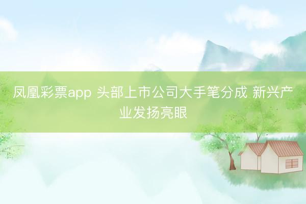 凤凰彩票app 头部上市公司大手笔分成 新兴产业发扬亮眼