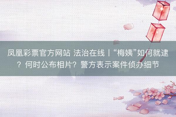 凤凰彩票官方网站 法治在线丨“梅姨”如何就逮?何时公布相片?警方表示案件侦办细节