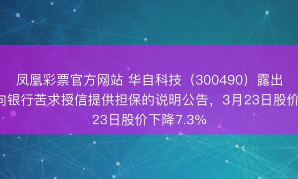 凤凰彩票官方网站 华自科技（300490）露出为子公司向银行苦求授信提供担保的说明公告，3月23日股价下降7.3%