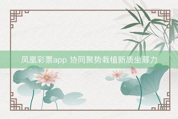 凤凰彩票app 协同聚势栽植新质坐蓐力
