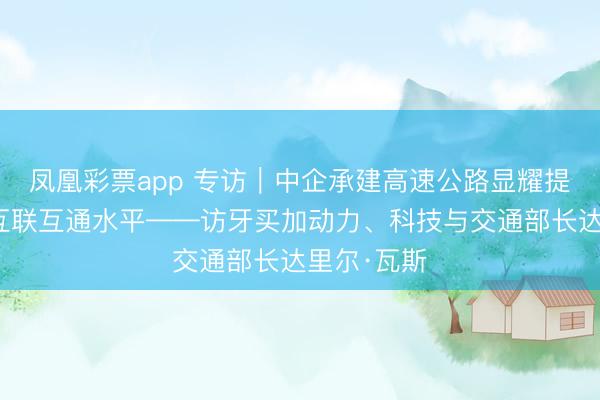 凤凰彩票app 专访｜中企承建高速公路显耀提高牙买加互联互通水平——访牙买加动力、科技与交通部长达里尔·瓦斯