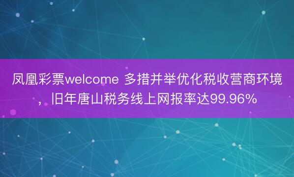 凤凰彩票welcome 多措并举优化税收营商环境，旧年唐山税务线上网报率达99.96%