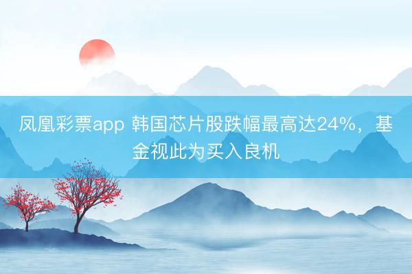 凤凰彩票app 韩国芯片股跌幅最高达24%，基金视此为买入良机