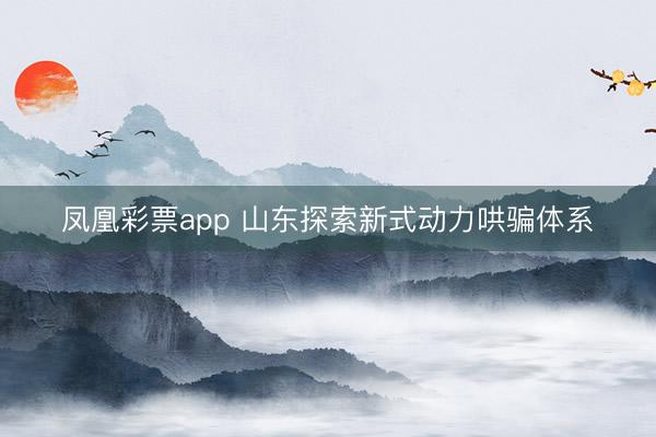 凤凰彩票app 山东探索新式动力哄骗体系