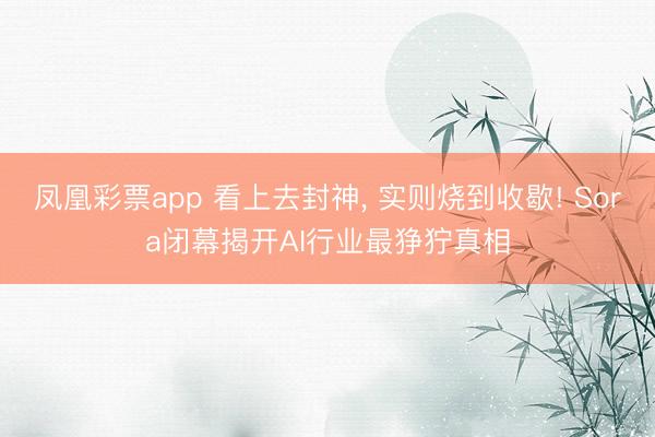 凤凰彩票app 看上去封神, 实则烧到收歇! Sora闭幕揭开AI行业最狰狞真相