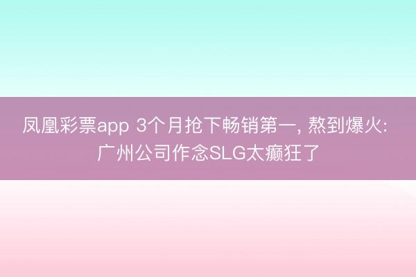 凤凰彩票app 3个月抢下畅销第一， 熬到爆火: 广州公司作念SLG太癫狂了