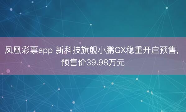凤凰彩票app 新科技旗舰小鹏GX稳重开启预售， 预售价39.98万元