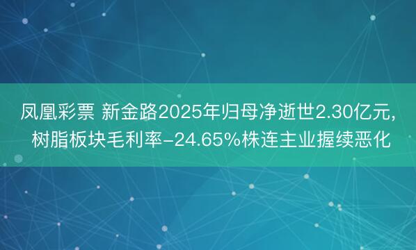 凤凰彩票 新金路2025年归母净逝世2.30亿元， 树脂板块毛利率-24.65%株连主业握续恶化