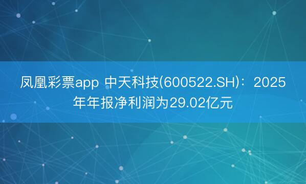 凤凰彩票app 中天科技(600522.SH)：2025年年报净利润为29.02亿元