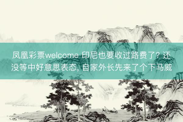 凤凰彩票welcome 印尼也要收过路费了? 还没等中好意思表态， 自家外长先来了个下马威