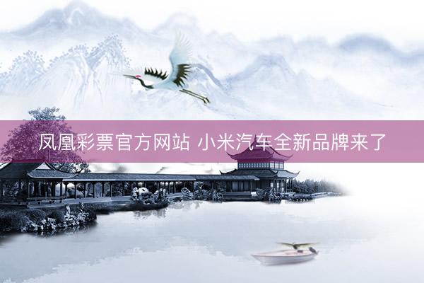 凤凰彩票官方网站 小米汽车全新品牌来了