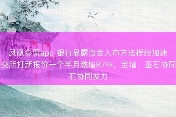凤凰彩票app 银行显露资金入市方法捏续加速，深交所打新报价一个半月激增87%，定增、基石协同发力