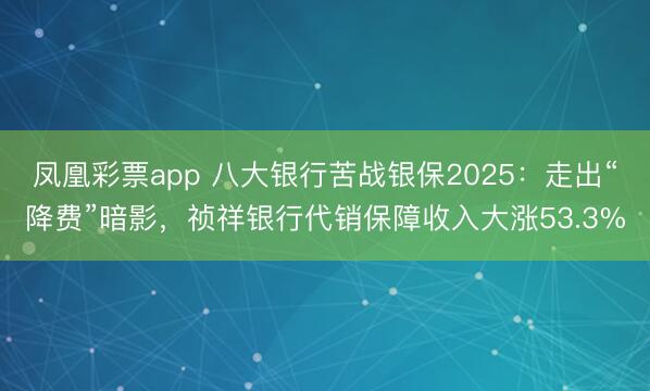 凤凰彩票app 八大银行苦战银保2025：走出“降费”暗影，祯祥银行代销保障收入大涨53.3%