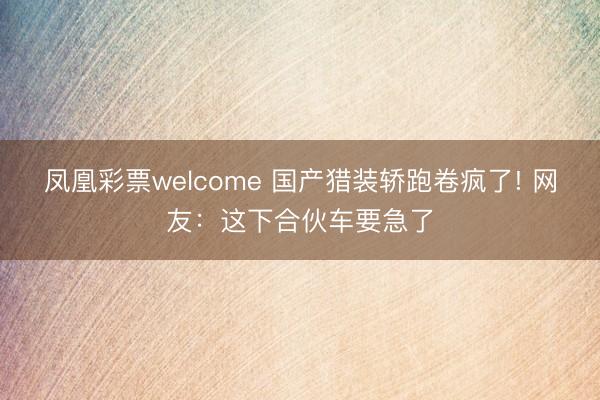 凤凰彩票welcome 国产猎装轿跑卷疯了! 网友：这下合伙车要急了