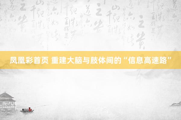 凤凰彩首页 重建大脑与肢体间的“信息高速路”