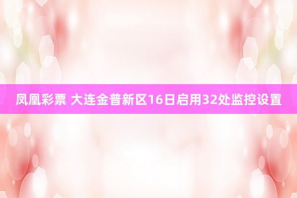 凤凰彩票 大连金普新区16日启用32处监控设置