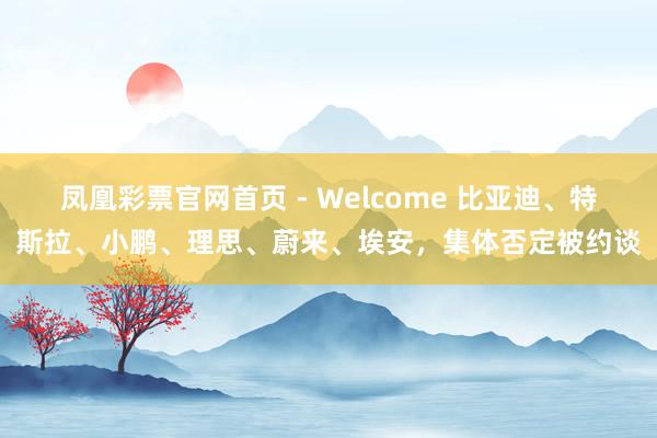 凤凰彩票官网首页 - Welcome 比亚迪、特斯拉、小鹏、理思、蔚来、埃安，集体否定被约谈