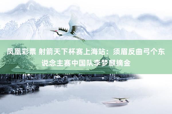 凤凰彩票 射箭天下杯赛上海站：须眉反曲弓个东说念主赛中国队李梦麒摘金