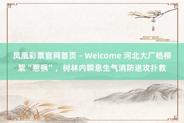 凤凰彩票官网首页 - Welcome 河北大厂杨柳絮“惹祸”，树林内瞬息生气消防进攻扑救