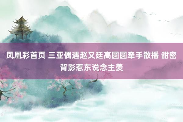凤凰彩首页 三亚偶遇赵又廷高圆圆牵手散播 甜密背影惹东说念主羡
