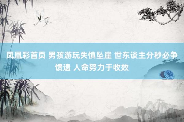 凤凰彩首页 男孩游玩失慎坠崖 世东谈主分秒必争馈遗 人命努力于收效