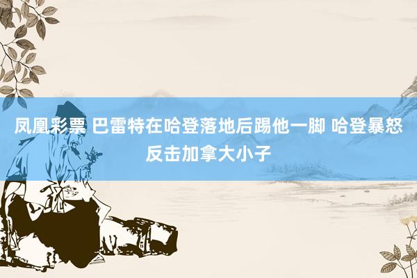 凤凰彩票 巴雷特在哈登落地后踢他一脚 哈登暴怒反击加拿大小子