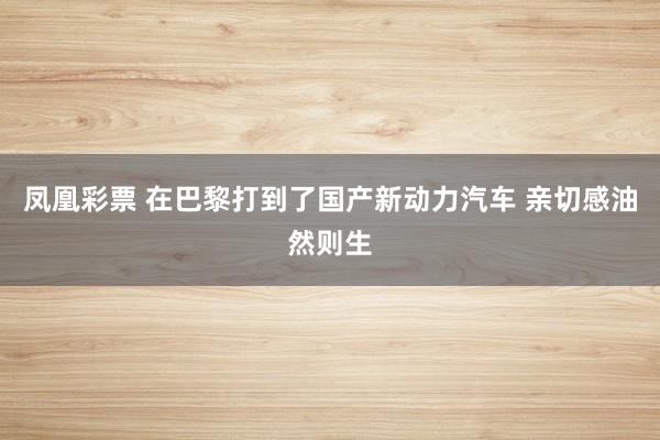 凤凰彩票 在巴黎打到了国产新动力汽车 亲切感油然则生