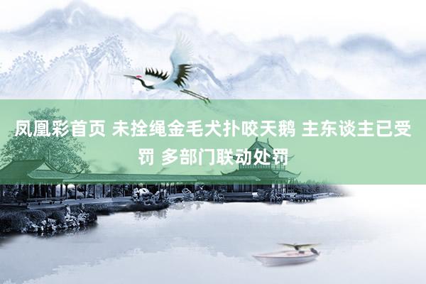 凤凰彩首页 未拴绳金毛犬扑咬天鹅 主东谈主已受罚 多部门联动处罚