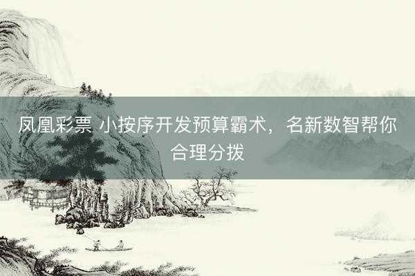 凤凰彩票 小按序开发预算霸术，名新数智帮你合理分拨