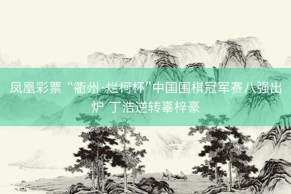 凤凰彩票 “衢州·烂柯杯”中国围棋冠军赛八强出炉 丁浩逆转辜梓豪