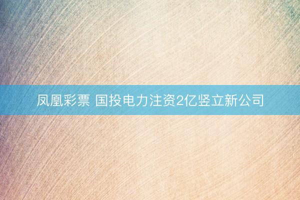 凤凰彩票 国投电力注资2亿竖立新公司