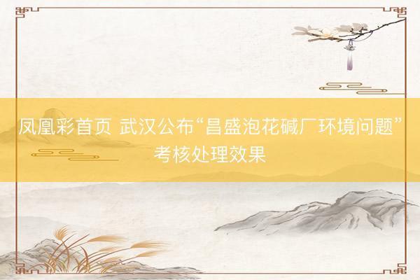凤凰彩首页 武汉公布“昌盛泡花碱厂环境问题”考核处理效果