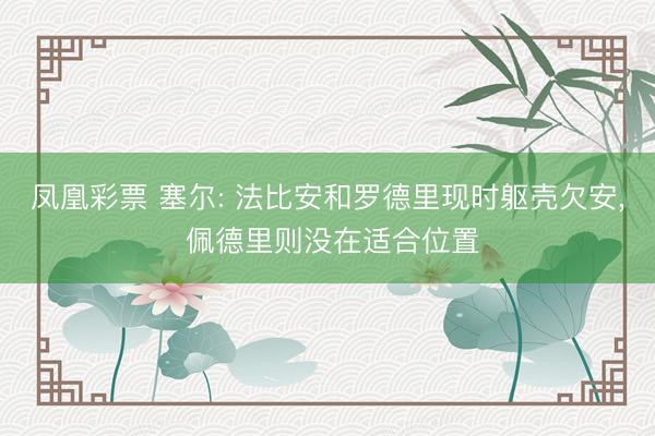凤凰彩票 塞尔: 法比安和罗德里现时躯壳欠安， 佩德里则没在适合位置