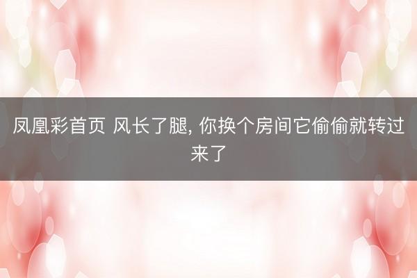 凤凰彩首页 风长了腿， 你换个房间它偷偷就转过来了