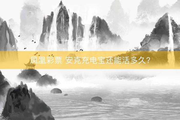 凤凰彩票 安克充电宝还能活多久?