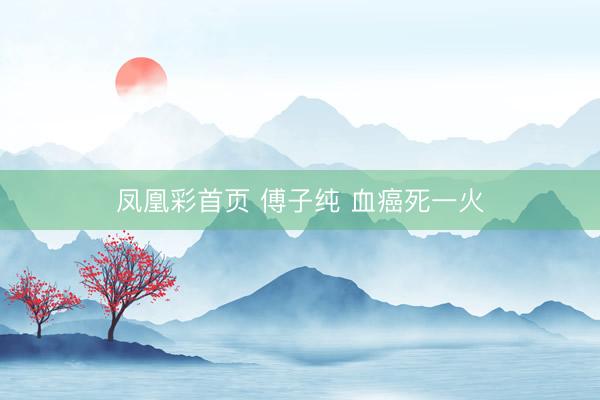 凤凰彩首页 傅子纯 血癌死一火